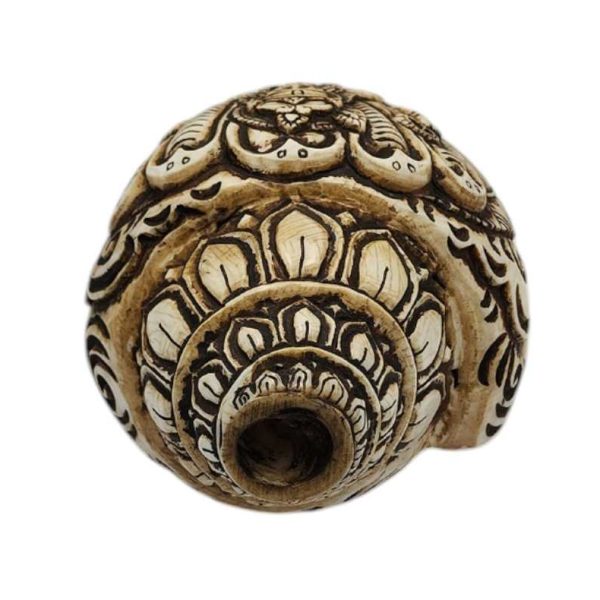 Hand-Carved Conch Shell