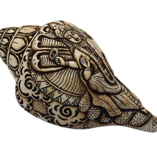 Hand-Carved Conch Shell