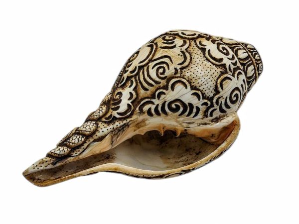 Hand-Carved Conch Shell