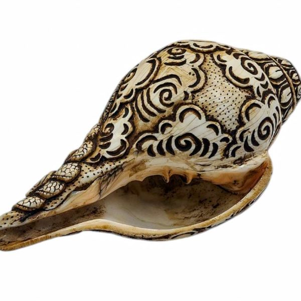 Hand-Carved Conch Shell