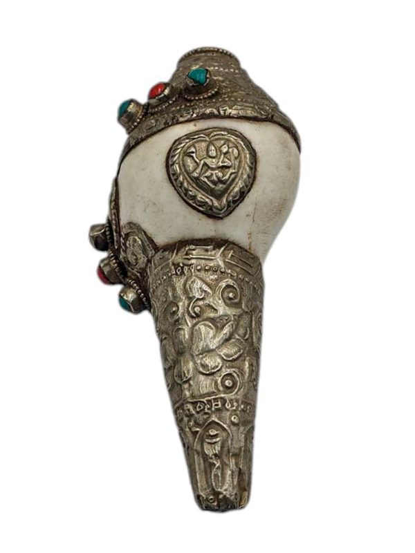Conch Shell with Stone Setting – White and Silver Color