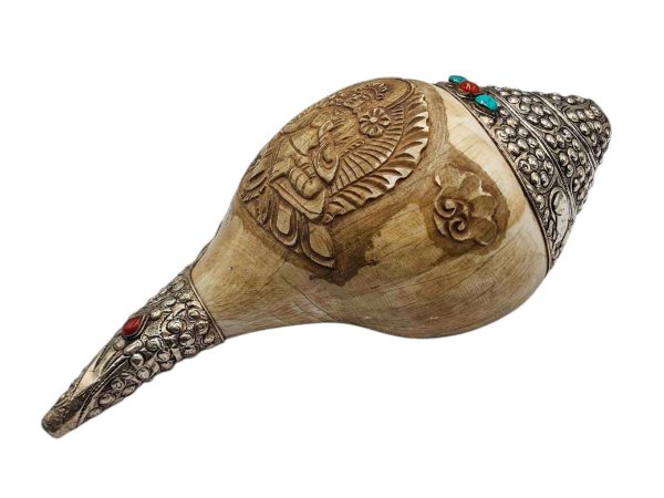 Conch Shell – Silver and Stone Setting