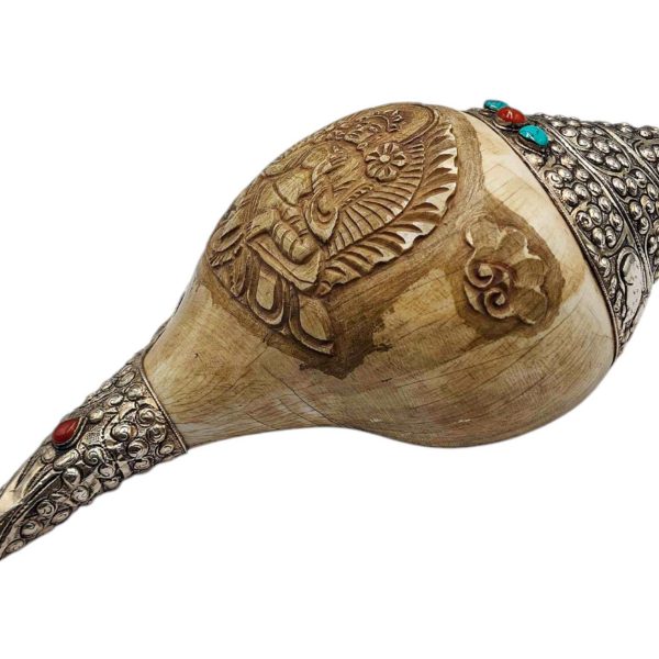 Conch Shell – Silver and Stone Setting
