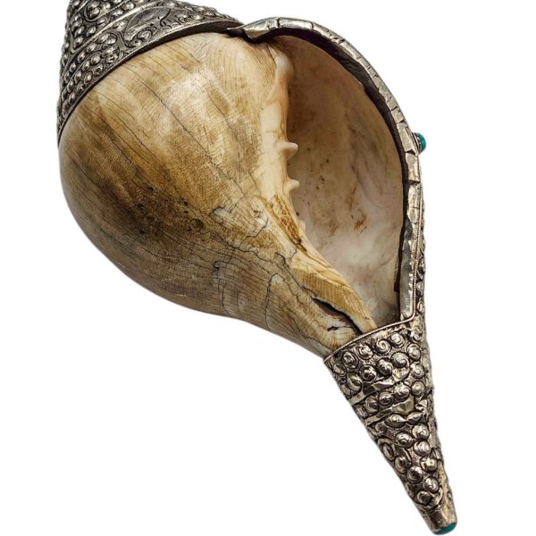 Conch Shell – Silver and Stone Setting