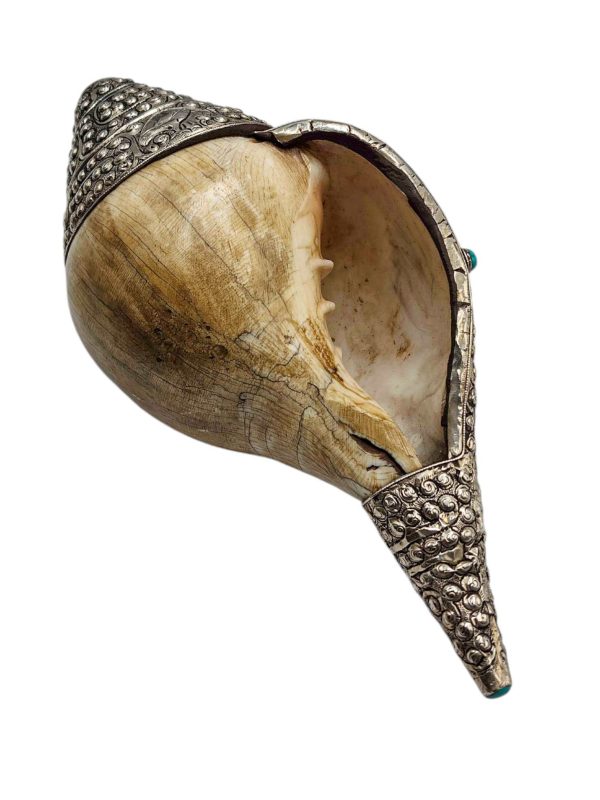 Conch Shell – Silver and Stone Setting